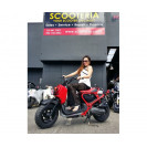 Special Edition HONDA ZOOMER / RUCKUS 50CC