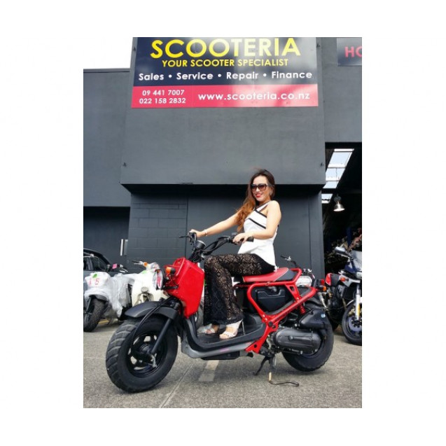 Special Edition HONDA ZOOMER / RUCKUS 50CC